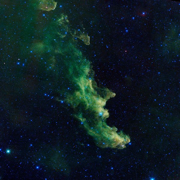 File:'Witch Head' Brews Baby Stars (10592267924).jpg