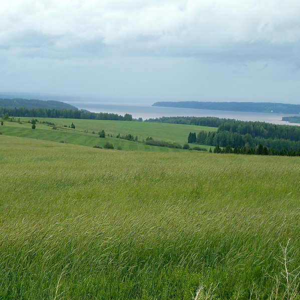 File:Панорама Камского водохранилища, Ильинский район, Пермский край - panoramio.jpg