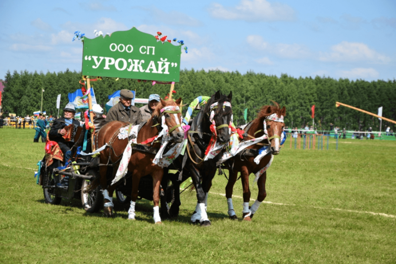 File:Сабантуй-2019 в Бураевском районе Башкортостан 17.png