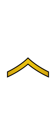 File:01-Nicaragua Army-PVT.svg