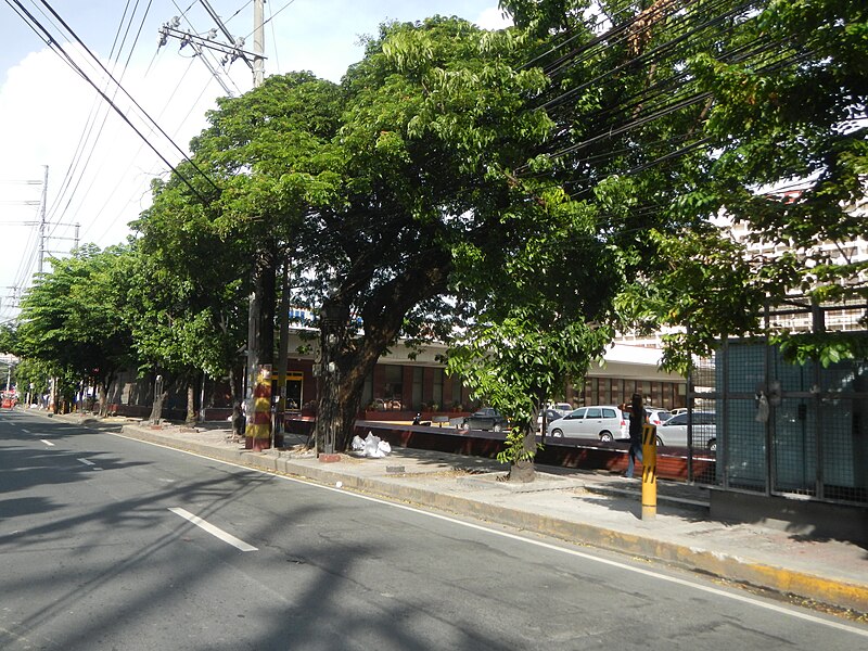 File:09944jfUnited Nations Avenue Landmarks Schools Ermita Paco Manilafvf 02.jpg