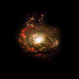<span class="mw-page-title-main">Circinus Galaxy</span> Closest Seyfert Galaxy in the constellation Circinus