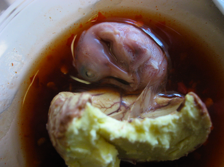 Fifteen-day-old balut egg dipped in a mixture of hot sauce and vinegar