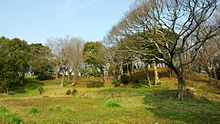 160227 Whole view of Shoboji Kofun.jpg