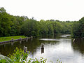 Zwolse Vaart en Voorsterbos