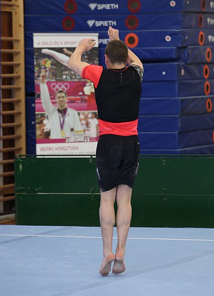 File:2019-05-24 Budapest Cup training floor exercise (Martin Rulsch) 028.jpg