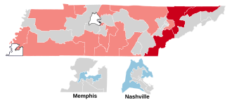 2024 Tennessee Senate election.svg