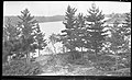 208. Looking north from Beal's Cottage, Stoney Lake, Ont., 1911 (26457324871).jpg