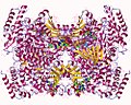 Thumbnail for (3,5-dihydroxyphenyl)acetyl-CoA 1,2-dioxygenase