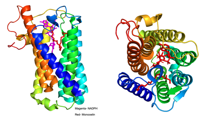 File:5AR structure.png