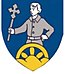 Herb Bad Erlach