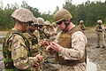 A U.S. Marine with 2nd Combat Engineering Battalion teaches Bermudan Army soldiers with Guns and Assault Platoon, how to connect explosive devices during a demolition training exercise on Marine Corps Base Camp 130502-M-BW898-003.jpg