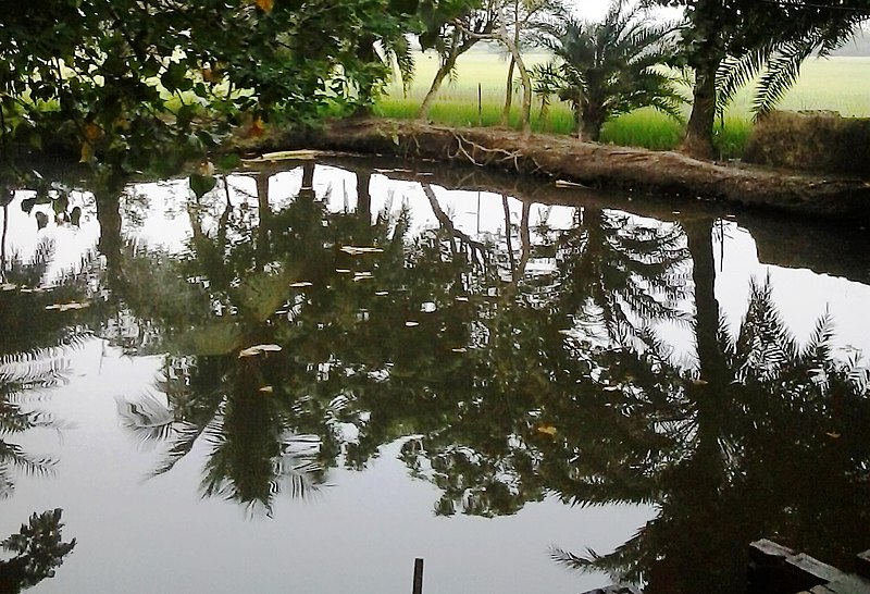 File:A pond at a village.jpg