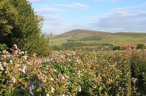 Alphin Pike from the Oldham Way, Grasscroft - geograph.org.uk - 2523430