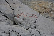 English: Rock art in the world heritage area in Alta, Norway. This is from the area Bergbukten 1, a group of some 900 figures. 23-25 m above sea level, and 6000-7000 years old.