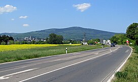 Altkoenig-2011-kronberg-045.jpg