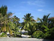 Ambergris Caye.jpg