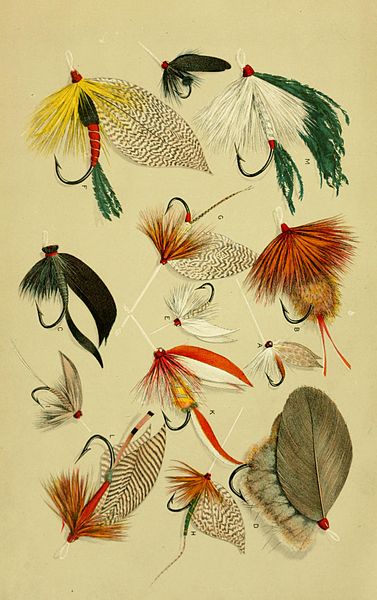 File:American game fishes (Frontispiece- Plate I - Flies) BHL8309309.jpg