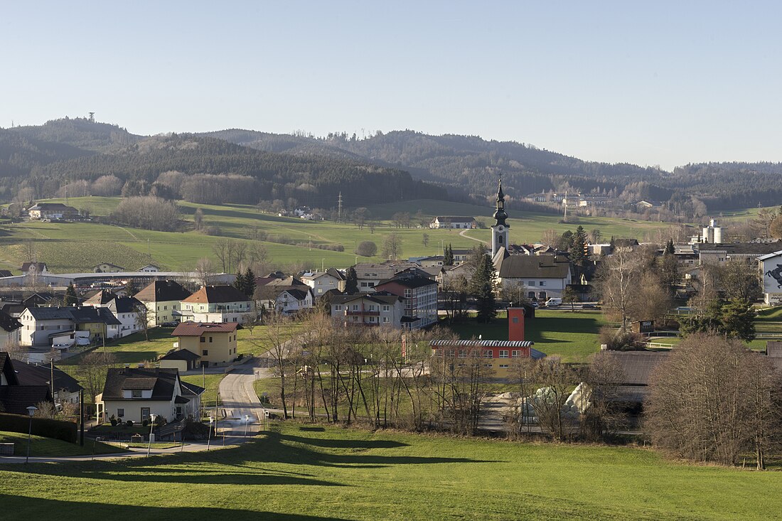 Ampflwang im Hausruckwald