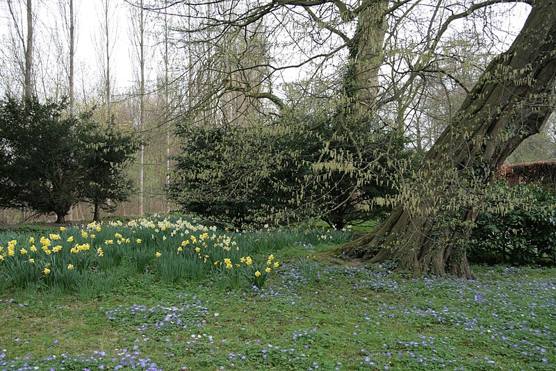 File:Anglesey Abbey (NT) 02-04-2011 (5699753758).jpg