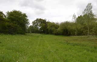 <span class="mw-page-title-main">Ashdon Meadows</span>