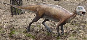 Modelo de um Atlascopcosaurus loadsi