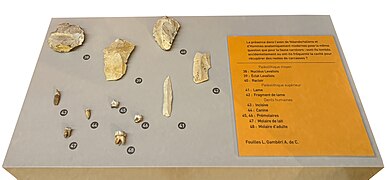 … befinden sich unter den 100.000 Funden auch einige Steinartefakte und menschliche Zähne