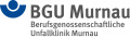 Logo der BGU Murnau (3/2020)