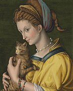 Porträtt av en dam med en katt, av Bacchiacca, 1525.