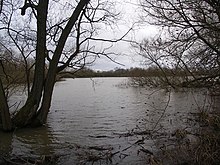 Rückstau des Saddington Reservoirs - geograph.org.uk - 310692.jpg