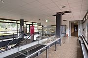 Impressionen einer Veranstaltung: GLAM-on-Tour: Antikenmuseum der Universität Heidelberg 2016