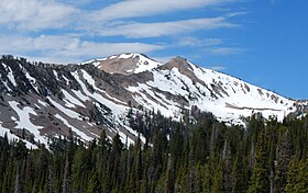 Foto de la norda flanko de Baker Peak rigardita de la Baker Lake Trail.