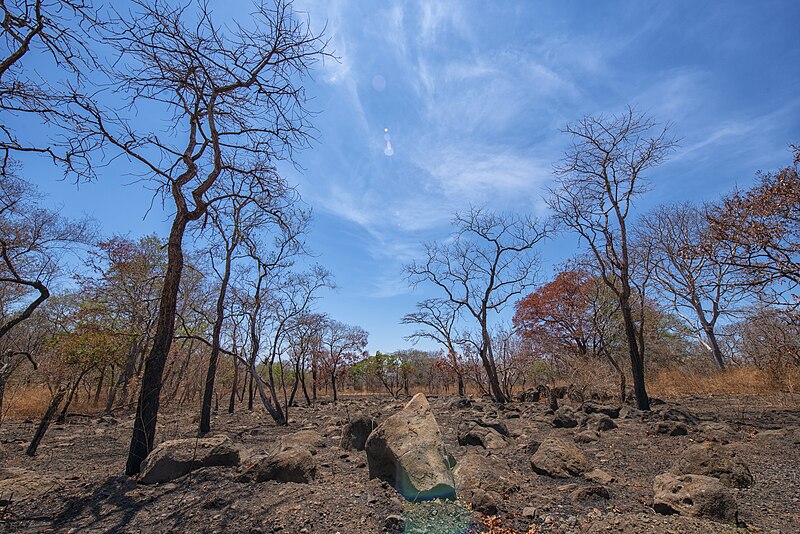 File:Baluran1.jpg