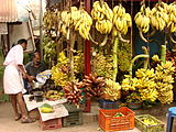 8. Bananas for sale, Trivandrum, Kerala.