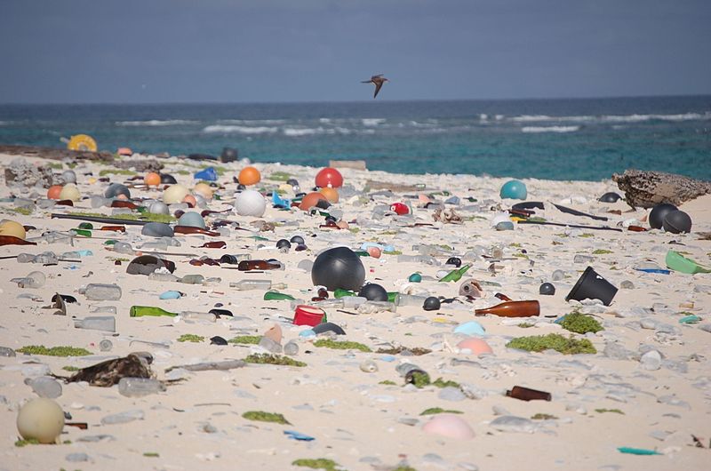 File:Beach strewn with plastic debris (8080500982).jpg
