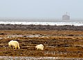 Vignette pour la version du 27 décembre 2016 à 17:52