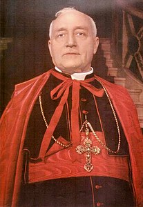 Cardenal Benedetto Aloisi Masella.jpg