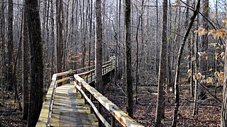 <span class="mw-page-title-main">Big Hill Pond State Park</span> State park in Tennessee, United States