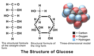 Glucose.