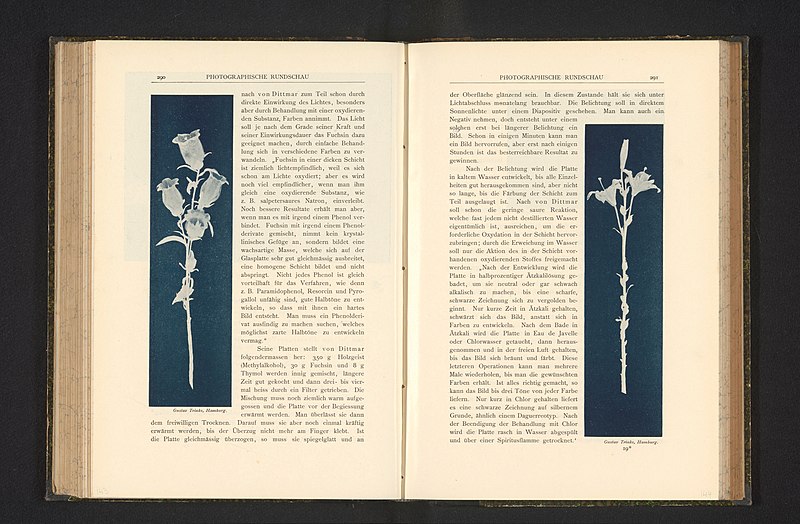 File:Bloemen op steel, RP-F-2001-7-968-1-143.jpg