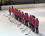 Les Stars photographiés sur la patinoire avec des maillots roses.