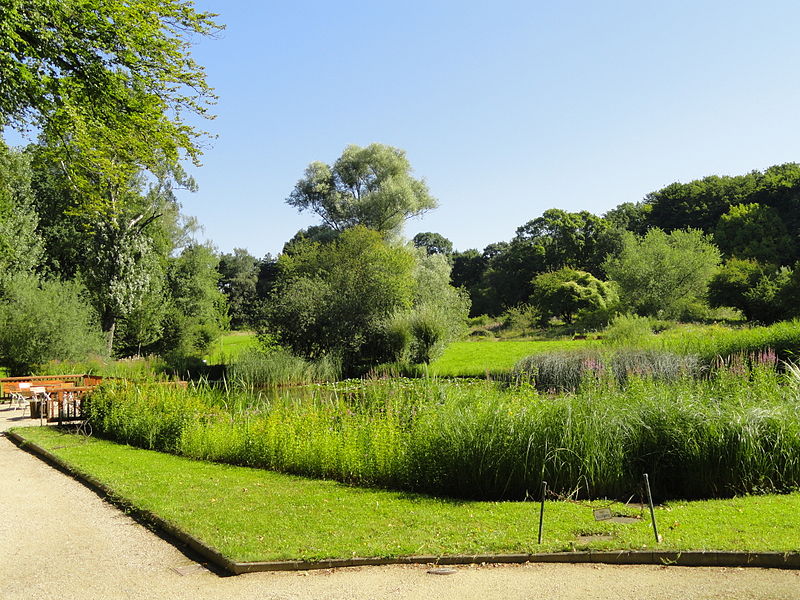 File:Botanischer Garten, Frankfurt am Main - DSC02434.JPG