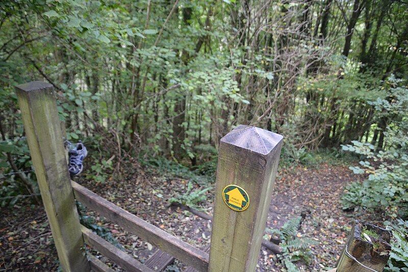 File:Branscombe , Footpath - geograph.org.uk - 5583462.jpg