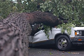 Brooklyntornado2007 2.jpg 