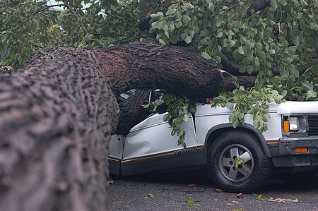 Brooklyntornado2007 2