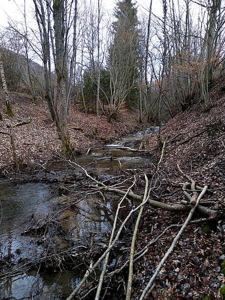 Buchenbach Starzel