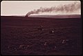 CATTLE GRAZE ON RANCH LANDS NEAR THE DAVE JOHNSTON POWER PLANT - NARA - 549214.jpg