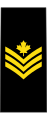 Petty officer 2nd class (French: Maître de 2e classe) (Royal Canadian Navy)※