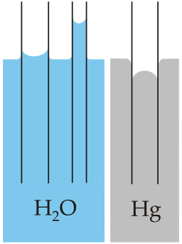 Capillarity