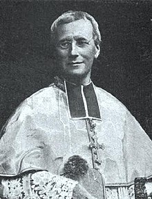 Kardynał Pierre-Paulin Andrieu.jpg